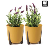 1 x RAW Customer Returns TULMERO flowerpot matt, plant pot made of plastic, decorative pot for large and small plants, set of 2 flower pots, flower pot herb pot, 2 pack mustard, 30 cm - RRP €35.8