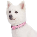 4 x Brand New Blueberry Pet Soft Comfy 3M Reflective Valentine Pastel Baby Orange Adjustable Padded Dog Collar, Small - RRP €67.2