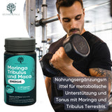 1 x RAW Customer Returns RedMoringa Tribulus Terrestris Supplement 90 Steroid Saponins Energy Booster Organic Moringa and Maca Muscle Mass Support Tribulus High Dosage 100 Natural Made in Italy 60 Capsules  - RRP €27.17