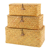 1 x RAW Customer Returns PINGEUI Set of 3 Storage Baskets with Lid, Woven Rattan Multifunctional Storage Baskets for Living Room Kitchen Large Medium Small - RRP €22.8