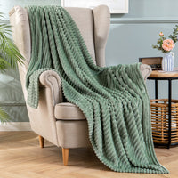 1 x RAW Customer Returns MIULEE Cuddly Blanket Fleece Blanket Flannel Blanket Solid Color Living Room Blankets Couch Blanket Fluffy Throw Microfiber Bedspread Sofa Blanket Blanket For Bed Sofa Bedroom Office 60x80Inch 150x200cm Matcha Green - RRP €26.0