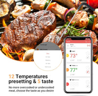 1 x RAW Customer Returns Inkbird IBT-2X Bluetooth 4.0 Barbecue Oven Grill Thermometer BBQ Meat Kitchen Thermometer Timer with Temperature Alarm, App for Android 4.4 top iOS 7 2 Sensors  - RRP €31.92