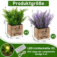 1 x RAW Customer Returns BBTO 2 pieces artificial plants with LED lights in a wooden box artificial plants in a pot with the saying Home Sweet Home lavender eucalyptus decorative plants for the living room kitchen office table fresh  - RRP €24.95