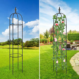 1 x RAW Customer Returns Garden trellis 176 cm tomato cage plant support obelisk climbing frame trellis climbing aid, plants, tomatoes, roses for all climbing plants 2 pieces - RRP €39.99