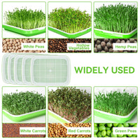 1 x RAW Customer Returns CHRI 5 pieces germination trays for sprouts Seed Sprouter Tray germination tray 31cm x 25cm cress cultivation trays germination tray germination box for growing mung beans alfalfa wheatgrass - RRP €18.14