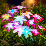 1 x RAW Customer Returns BUCASA Solar Lamps for Outdoor Garden, 4 Pack Upgarded Solar Lights for Outdoor with Blooming 16 Lily Flowers, IP65 Waterproof Solar Lights Garden Decoration with Colored Light for Patio, Lawn, Balcony, Yard - RRP €29.99