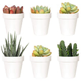 7 x Brand New Mixed Garden - RRP €140.2