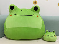 4 x Brand New SPIRTUDE 2PCS Frog Plush Toy Frog Cuddly Toy with Keychain Gifts for Girls Boys Frog 20cm  - RRP €64.88