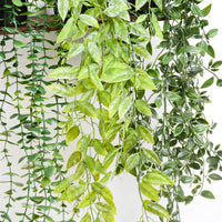 1 x RAW Customer Returns Cymax 3 Pack Artificial Plants Hanging Vine Garland with Pots, Indoor Outdoor Vine Hanging Plants Decoration for Wedding Party, Garden, Balcony or Wall Decoration - RRP €26.99