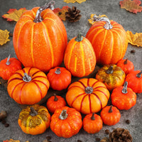 1 x RAW Customer Returns Benjia Pumpkin Autumn Decoration Outdoor Decoration, Large Mini Orange Pumpkins Ornamental Pumpkins Autumn Decoration Autumn Decorations Halloween Orange, 16 Pieces  - RRP €22.2