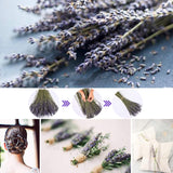 2 x RAW Customer Returns CoolCrafts Dried Lavender Bundle 200 Stems Dried Lavender Bouquet Decoration - RRP €36.2