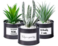 1 x RAW Customer Returns ODEZZA Artificial Plants in Pot 10x16cm Black - 3 pieces decorative succulents artificial small modern - Artificial plant set for decorating living room bathroom kitchen balcony - Mini artificial plants - RRP €25.16