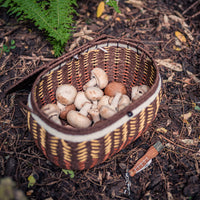 1 x RAW Customer Returns Flanacom IMPROVED Set of 2 mushroom knives with mushroom basket - knife with brush and ruler to open made of stainless steel vine basket for collecting mushrooms - knife basket  - RRP €26.21