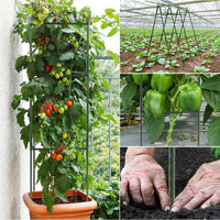 1 x RAW Customer Returns Pack of 3 tomato trellises, plant holders, trellis plants, robust tomato cage, plant support stake garden flower support climbing grid for growing climbing plants flowers vegetables 123 cm  - RRP €26.21