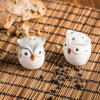 2 x RAW Customer Returns Salt and pepper set in the shape of cute owls with transparent PVC box - RRP €23.6