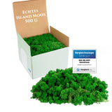 1 x RAW Customer Returns Icelandic moss preserved in natural green I moss decoration for crafts I 500g real decorative moss Icelandic for moss picture and moss wall living - RRP €18.08