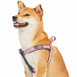 1 x Brand New Blueberry Pet Step-in Harnesses New 3M Reflective 60-75cm Chest Summer Pastel Baby Pink Adjustable Strain Relief Padded Dog Harness, Matching Collar Sold Separately - RRP €20.4