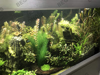 1 x RAW Customer Returns BEGONDIS Aquarium Decorations Aquarium Artificial Green Water Plants Made of Silk Fabrics and Plastic, Safe for All Fish and Pets Set 30CM  - RRP €14.11