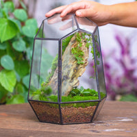 1 x RAW Customer Returns NCYP 25cm Hand-Enclosed Geometric Terrarium with Door, Tall Irregular Black Glass Vase, Succulent Cactus Flower Pot, Home Garden Decor Plants Not Included  - RRP €54.23