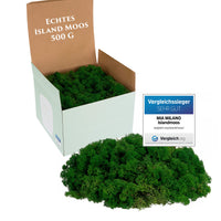 1 x RAW Customer Returns Icelandic moss dark green preserved I moss decoration for crafts I 500g real decorative moss Icelandic for moss picture and moss wall living - RRP €30.16