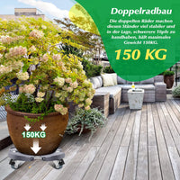 1 x RAW Customer Returns Linkax plant roller 35-48cm, rolling board plants up to 150 KG, saucer flower pot large plant pot for outdoor parasol stand, trash can, rain barrel, water barrel, wine rack - RRP €34.42