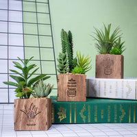 1 x RAW Customer Returns BEGONDIS set of 3 artificial succulents with LED lights in wooden box, artificial plants plastic topiary for home office decorations, table decoration, Valentine s Day. - RRP €30.05