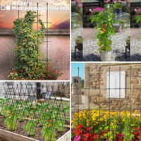 1 x RAW Customer Returns ThxToms garden trellis made of metal core 160CM with 20 plant clips Tomato cage plant support obelisk climbing frame trellis Trellis climbing aid Plants, tomatoes, roses, black - RRP €25.99