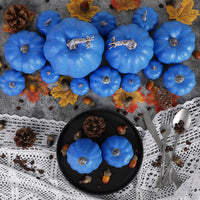 1 x RAW Customer Returns Benjia Pumpkin Autumn Decoration Outdoor Decoration, Large Mini Orange Pumpkins Ornamental Pumpkins Autumn Decoration Autumn Decorations Halloween 8 Pieces - RRP €19.75