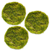 11 x Brand New MIJOMA Artificial Grass Plate Moss Plate Ornamental Grass Ornamental Moss - Premium Quality, 6 Pieces 20 cm, 3 Pieces Moss Plate  - RRP €275.44