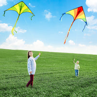 1 x RAW Customer Returns JOYIN 2 Packs Large Delta Kite Green and Rainbow Kites Easy to Fly Giant Kites for Kids and Adults with 262.5 ft Kite Line - RRP €22.61