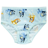 1 x RAW Customer Returns Bluey Girls Underwear Pack of 5 Multicolored 110 - RRP €19.51