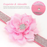 1 x Brand New PET ARTIST Cute Girl Rhinestone Suede Dog Collar for Small Dogs Cats, Soft Flower Dog Collar, Bling Dog Collars for Small Puppy Dogs Pink Collar M - RRP €20.4