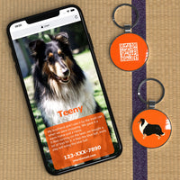 1 x Brand New DISONTAG QR Code Dog Tag ID 41 Dog Breeds Personalized Social Online Page-Free Online Pet Profile-Modifiable-Privacy Control-No APP Required - RRP €16.8