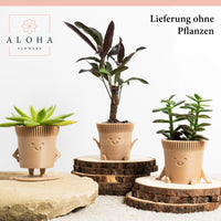 1 x RAW Customer Returns ALOHA FLOWERS flower pot - set of 3 succulent pots - made from organic plastic wood fibers - planter for cacti - Happy Best Friends - gift idea - RRP €22.64