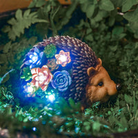 4 x Brand New TERESA S COLLECTIONS Garden decoration for outdoors 21 cm hedgehog solar light LED solar garden light with succulents garden decoration made of synthetic resin waterproof animal figure balcony terrace gifts for women - RRP €119.96