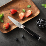 1 x Brand New Aroma House vegetable knife fruit knife 4 inches, kitchen knife small, paring knife very sharp forged blade ergonomic handle cutlery German stainless steel paring knife - RRP €19.99