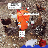 1 x RAW Customer Returns Chicken feeder, DIY chicken feeder without waste, waterproof, chicken feeding trough kit, waste-free chicken feeders, for bucket box - RRP €25.99