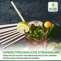 1 x RAW Customer Returns EcoAB - 100 Bamboo Straws Bendable Disposable - Environmentally friendly drinking straws made of bamboo fibers for parties, cocktails, smoothies 50 SMOOTHIE RECIPES - Sustainable alternative without plastic - 19.5 cm - RRP €9.98