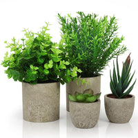 1 x RAW Customer Returns BELLE VOUS Pack of 4 Artificial Decorative Plants in Pots for Indoor - Eucalyptus, Sansevieria and Succulent - Artificial Decorative Plants Office, Desk Table, Bedroom or Kitchen - RRP €23.51