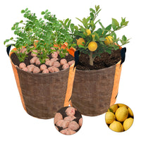 1 x RAW Customer Returns STARPYNG Garden Waste Bags-freestanding 4 handles, plant waste, compost - round format, freestanding and foldable - leaf bags garden bags ORANGE 210L  - RRP €9.06