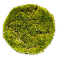 16 x RAW Customer Returns MIJOMA Artificial Moss Plate Decorative Moss Grass Plate Ornamental Grass - Premium Quality, 10 cm, 6 pieces moss plate  - RRP €335.2