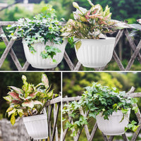 1 x RAW Customer Returns Set of 5 resin planters for hanging on the wall, vertical garden, living room, wall mounting, window hanging, kitchen, herbs, balcony, railing, shelf, fence, grid for indoor and outdoor use, white - RRP €22.79