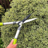 1 x RAW Customer Returns Davaon professional hand hedge trimmer manual - classic secateurs with knife-sharp SK5 carbon steel blades - hand trimmer garden - hand hedge trimmer - RRP €29.29