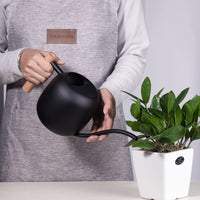 1 x RAW Customer Returns IMEEA 1L wooden handle watering can, black watering can for smaller potted plants, stainless steel watering can with long spout and comfortable wooden handle for houseplants, succulents, Bosai - RRP €29.23