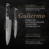 1 x RAW Customer Returns Guliermo Damascus knife set 2-piece, 67 layers VG 10 steel, chef s knife, blade length 20 cm all-purpose knife, blade length 12 cm - RRP €95.8