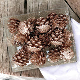 4 x Brand New MIJOMA set of 24 pine cones glitter 4.5 cm magically sparkling Christmas decoration ideal for a festive atmosphere elegant colour variations for decorating trees, wreaths tables champagne  - RRP €70.04