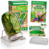 1 x RAW Customer Returns zengreens - Organic sprouting jar in a set of 1, 2, 3 CRESS SIEVE - incl. organic sprout seeds and free video course - sprouting jar germination jar set - germination jar for sprout cultivation - germination tray - RRP €31.57