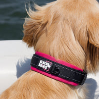 2 x Brand New Black Rhino - The Comfort Collar Super Soft Neoprene Padded Dog Collar for All Dog Breeds - Heavy Duty Adjustable Reflective Weatherproof Medium, Pink Black  - RRP €37.1