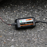 1 x RAW Customer Returns Battery charger. - RRP €26.99