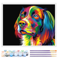 17 x Brand New Toudorp Without Frame Paint by Numbers Animals for Adults Kids Beginner DIY Acrylic Paints Oil Painting Kits - Colorful Dog Pattern 16 20 inch - RRP €346.8